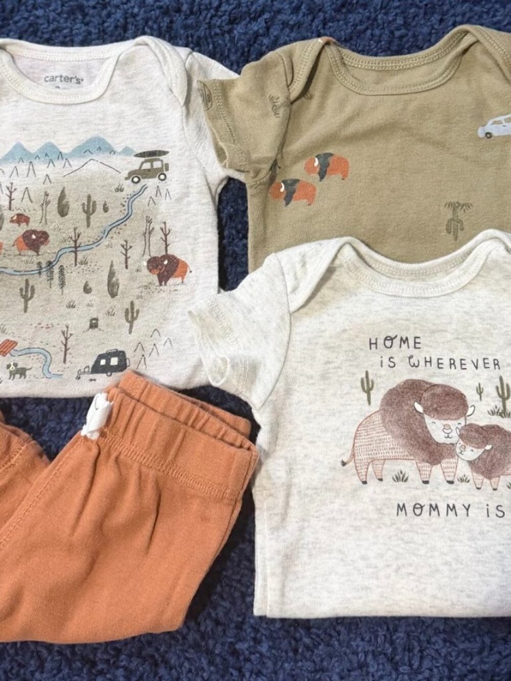 Carter’s Baby Boy Bison Adventure 4-Piece Outfit Set – 3 Months